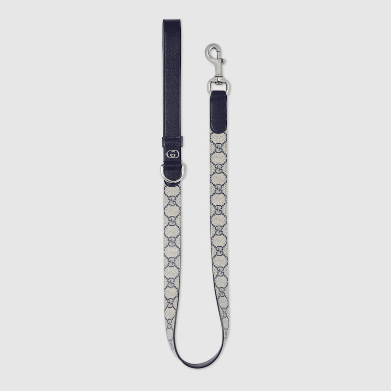 Large pet leash