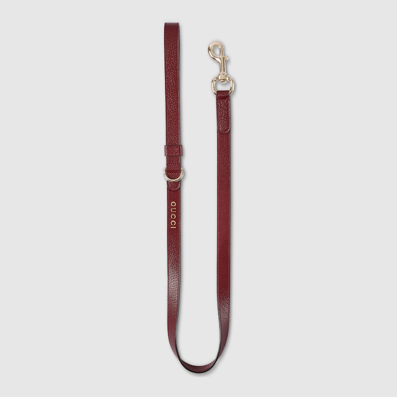 Gucci Small/medium Leash In Brown