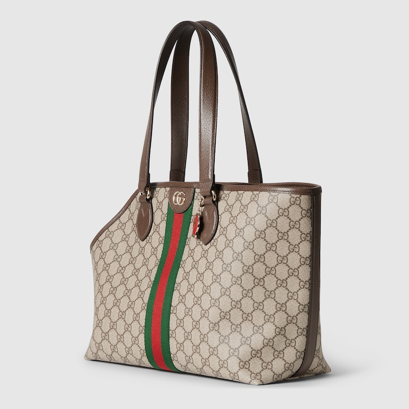 GG Monogram small pet tote bag