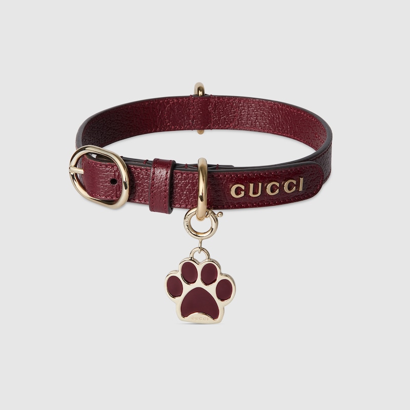 Gucci Small/medium Collar In Burgundy