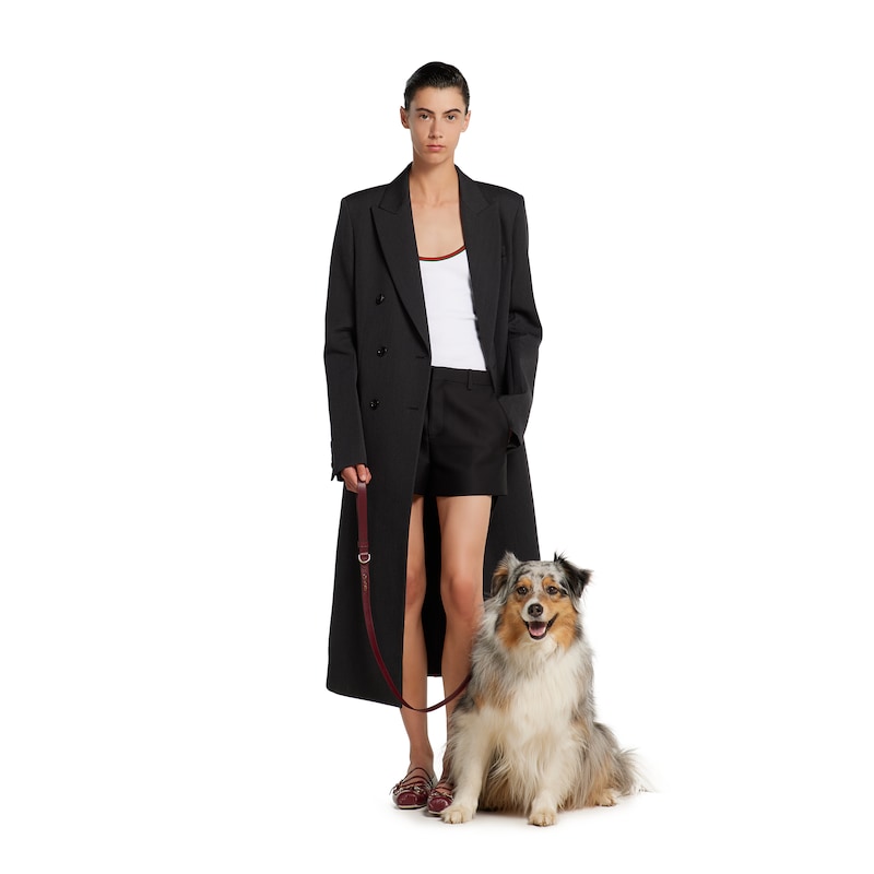 Gucci Small/medium Leash | Thumbnail 3 Gucci Small/medium Leash | Thumbnail 3