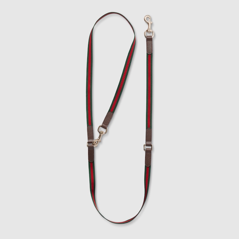 Gucci Crossbody-haustierleine In Multi