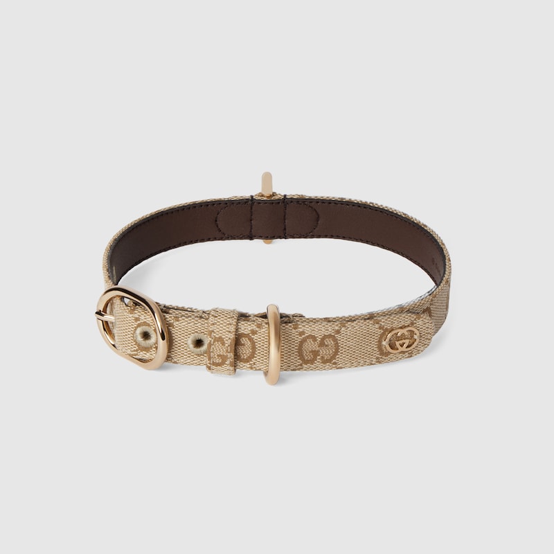 Gucci Small/medium Pet Collar