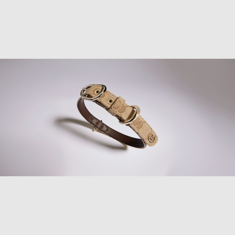 Gucci Small/medium Pet Collar | Thumbnail 3 Gucci Small/medium Pet Collar | Thumbnail 3