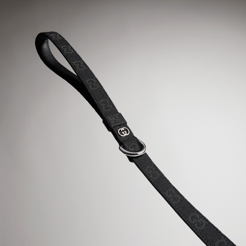 Gucci Small/medium Pet Leash | Thumbnail 3 Gucci Small/medium Pet Leash | Thumbnail 3