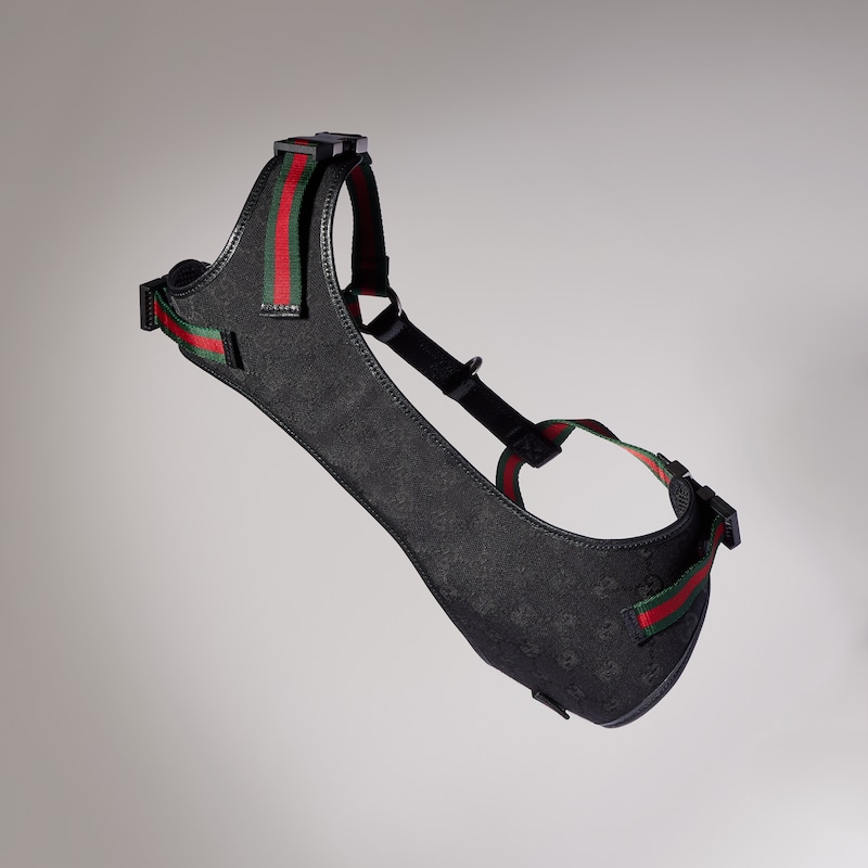 Gucci Small/medium Padded Pet Harness | Thumbnail 3