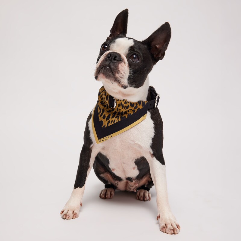 Gucci Small/medium Reversible Pet Bandana | Thumbnail 2 Gucci Small/medium Reversible Pet Bandana | Thumbnail 2
