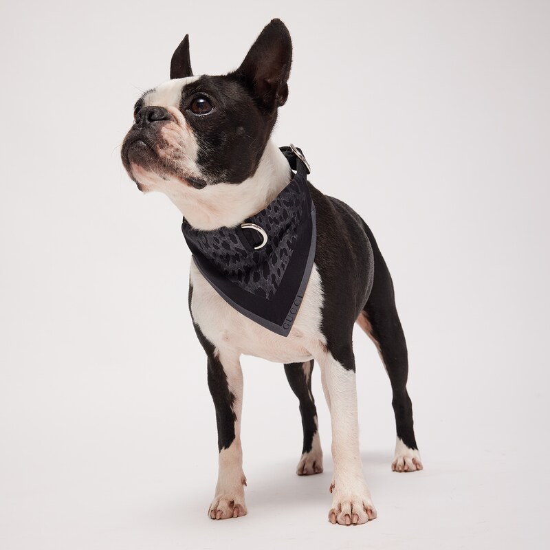 Gucci Small/medium Reversible Pet Bandana | Thumbnail 3 Gucci Small/medium Reversible Pet Bandana | Thumbnail 3