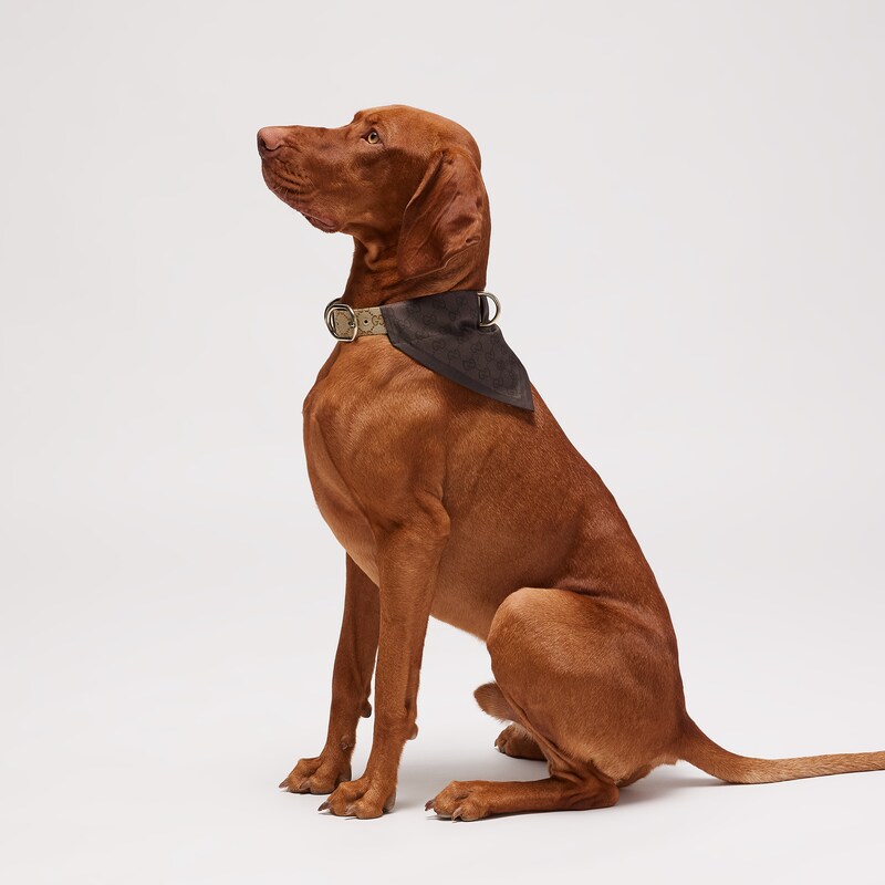 Gucci Large/extra-large Pet Bandana | Thumbnail 2 Gucci Large/extra-large Pet Bandana | Thumbnail 2