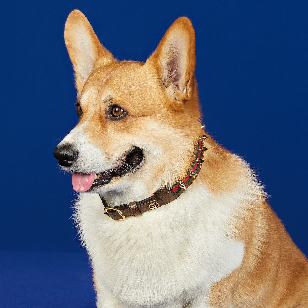 GUCCI  DOG チョーカー Medium/large pet choker in green and red fabric | GUCCI® US