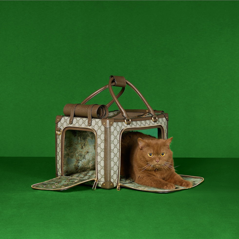 Small GG pet carrier with  in beige and ebony Supreme GUCCI® US