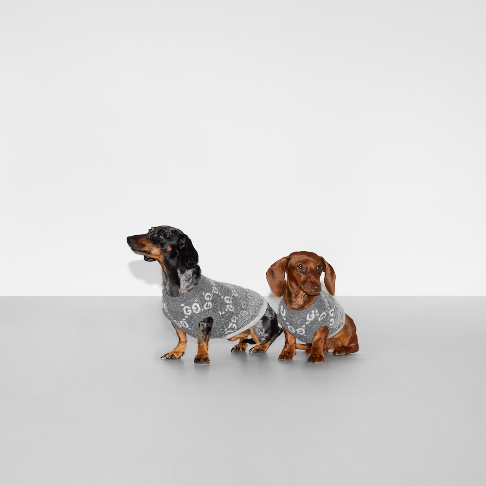 ウールジャカード ペット セーター ・グレー＆ホワイト | GUCCI公式