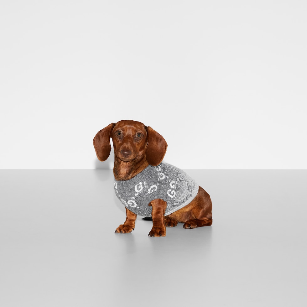 Wool jacquard pet sweater in grey and white | GUCCI® US