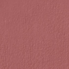 219 Mary Mauve