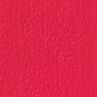 301 Mae Coral