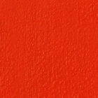302 Agatha Orange