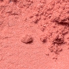 04 Bright Coral