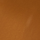 tonalità 410N