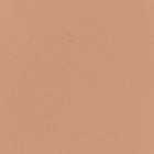 24N