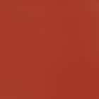 308 'Lucy Dark Orange'