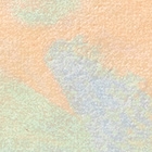 셰이드 02
