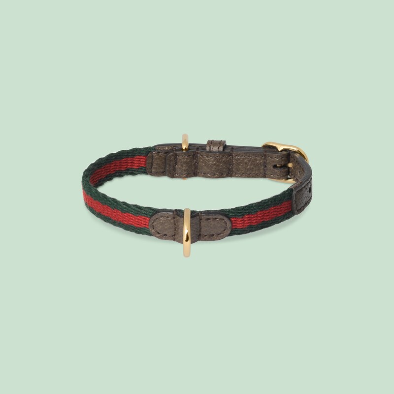gucci collar