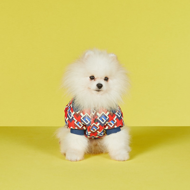 Gucci t shirt outlet dog