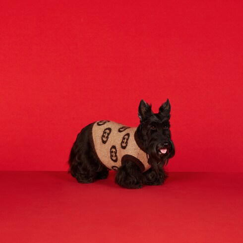 Pet wool blend jumper with Interlocking G Detail 4