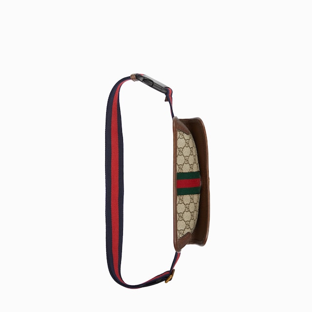 Ophidia small belt bag