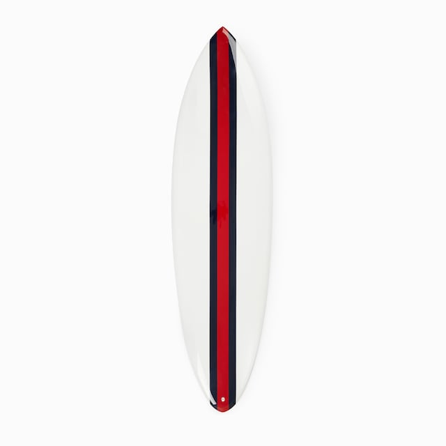 Web surfboard
