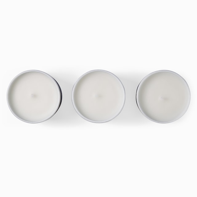 Herbarium print candle set, Inventum scent
