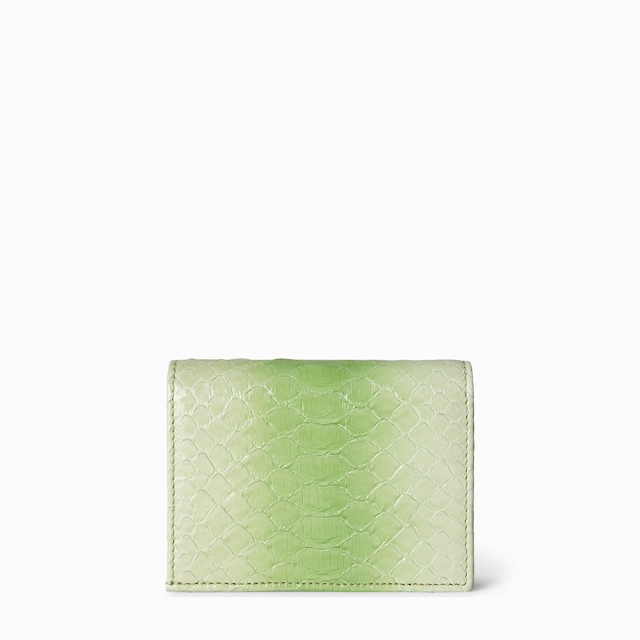 GG Marmont python card case wallet