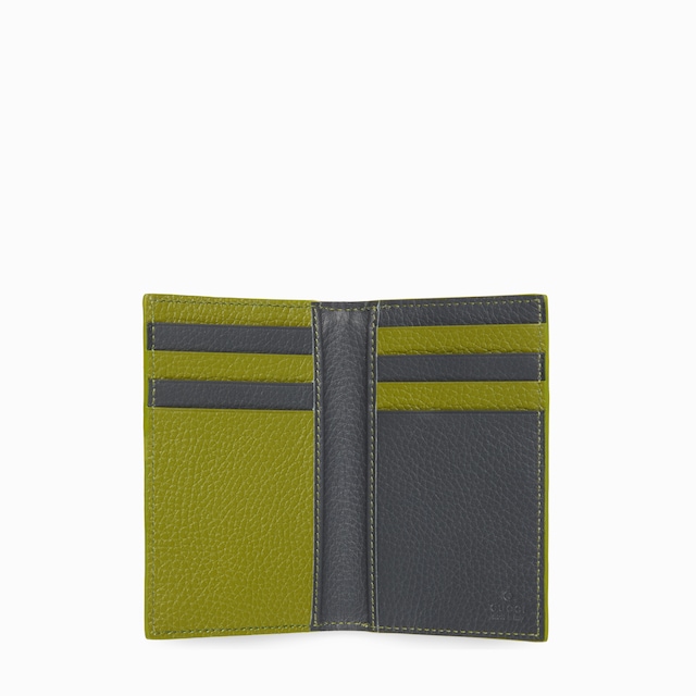 Bi-color long card case