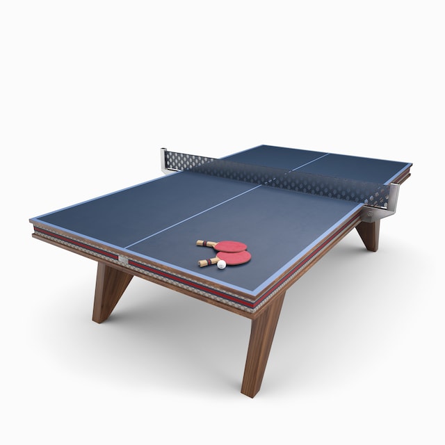 Tavolo da ping pong