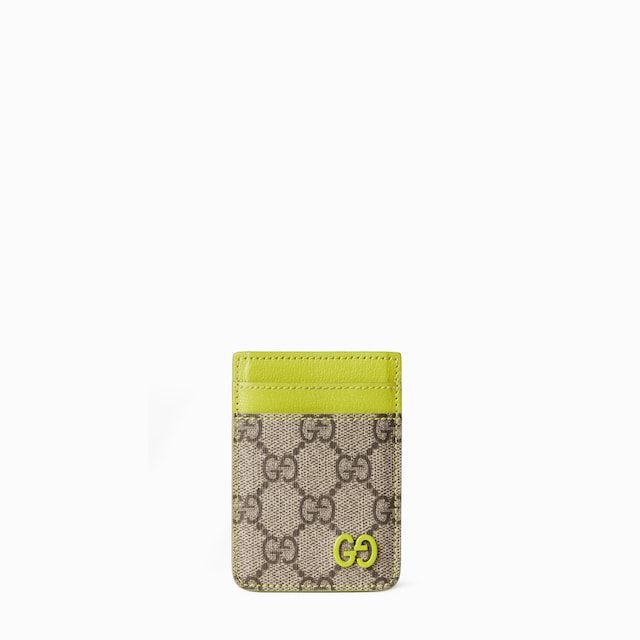Bi-color magnetic card case