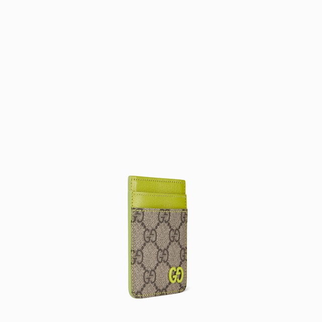 Bi-color magnetic card case