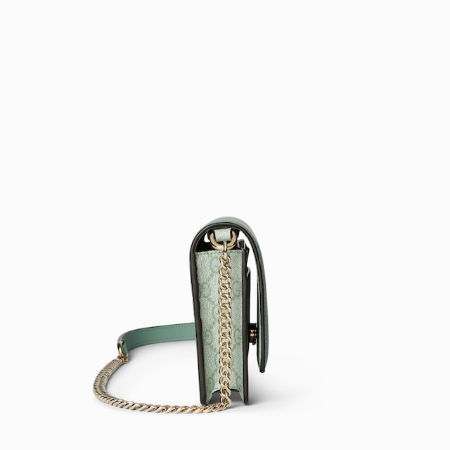 GG Emblem wallet on chain