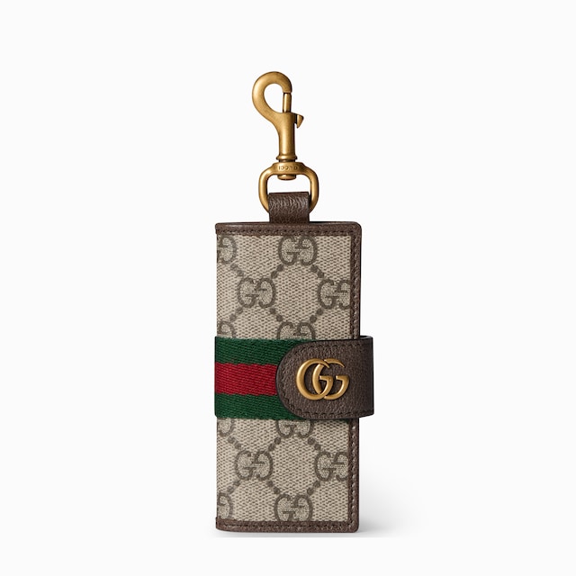 Ophidia key case with hook closure