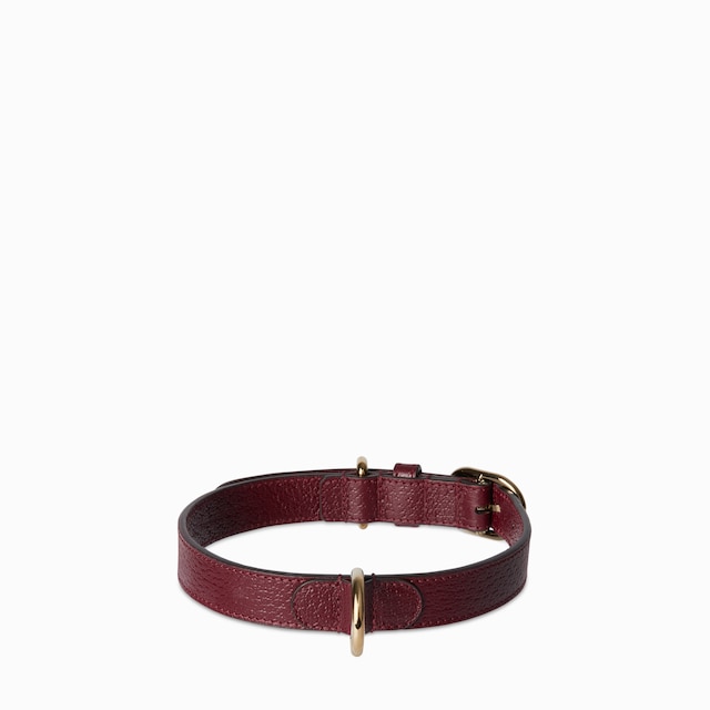 Small/medium collar