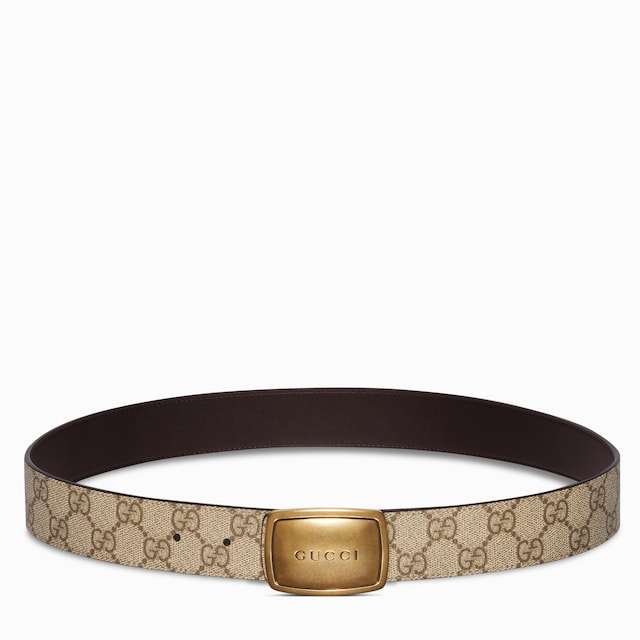 Belt with plaque buckle