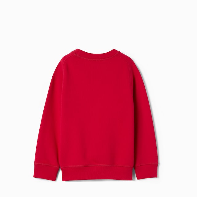 Kinder-Sweatshirt aus Baumwolle