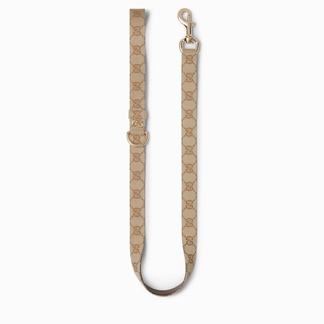 Large pet leash