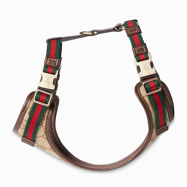 Extra-small padded pet harness