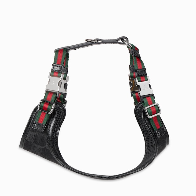 Pettorina imbottita per animali taglia XS