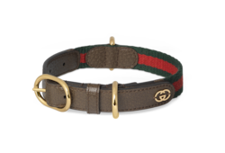 Small medium pet collar in green and red fabric GUCCI US