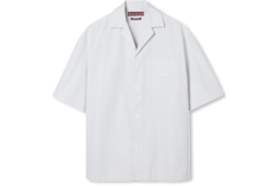 Embroidered striped cotton shirt in white and light blue