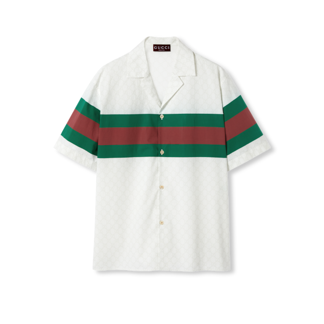 Embroidered striped cotton shirt in white and light blue