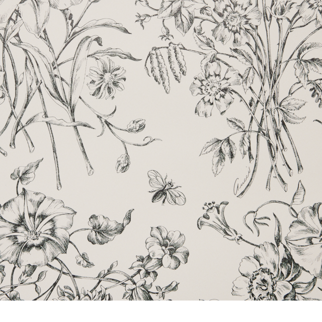 Flora Sketch print wallpaper