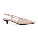 rose beige mesh