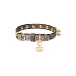 Extra-small pet collar